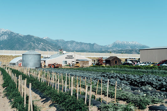 Petersen Family Farm